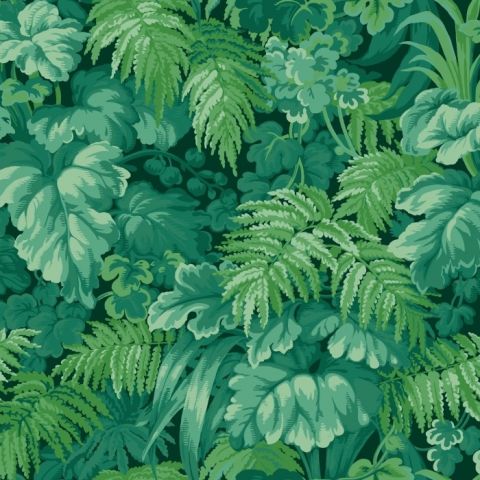 Cole & Son - Martyn Lawrence Bullard - Royal Fernery 113/3009