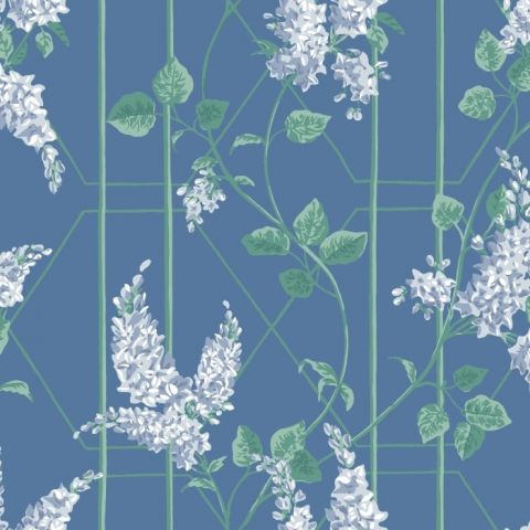 Cole & Son Botanical ~Botanica~ Wisteria Wisteria Floribunda 115/5015