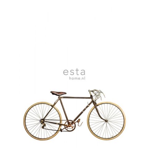 Esta College Old Bicycle