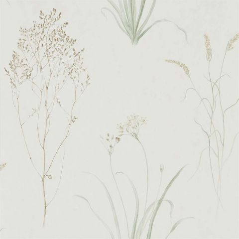 Sanderson Embleton Bay Farne Grasses Willow / Peble 216488