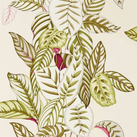 Sanderson The Glasshouse Calathea Olive 216631