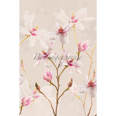 ColorChoc Magnolia