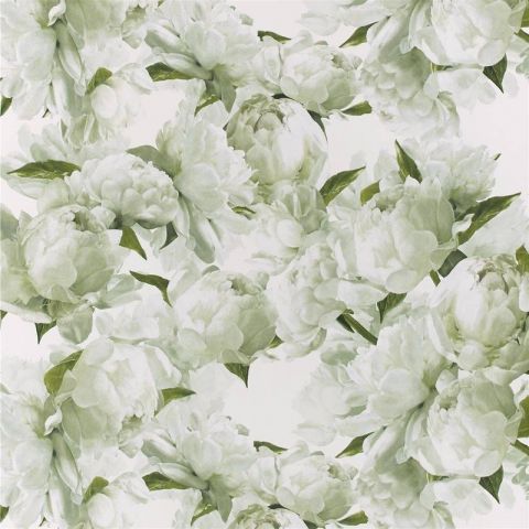 Designers Guild Foscari Fresco - Peonia Chartreuse PDG1094/03