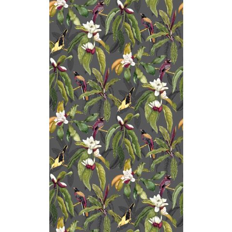 Osborne & LIttle Empyrea - Michelia Charcoal W7612-01