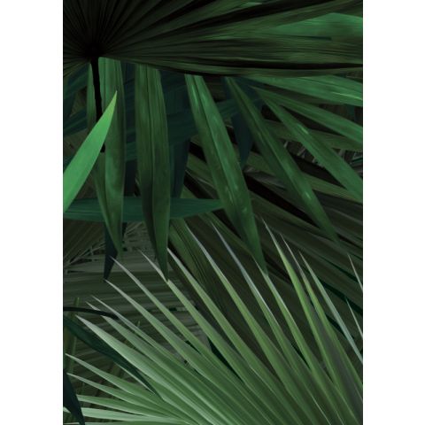 KEK Amsterdam Monstera & Palm Leaves WP-501